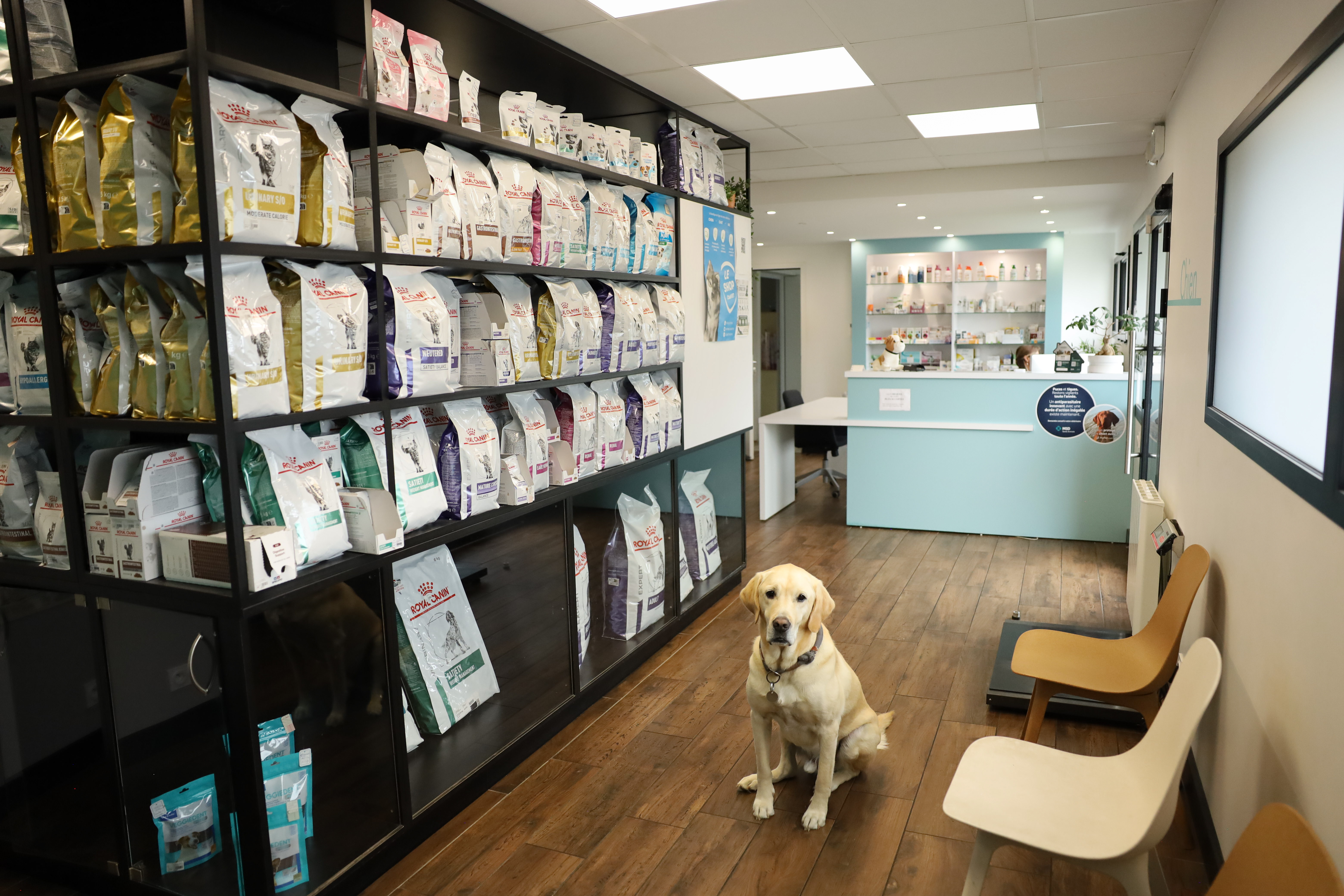 Rayon de produits alimentaires et de soins pour animaux